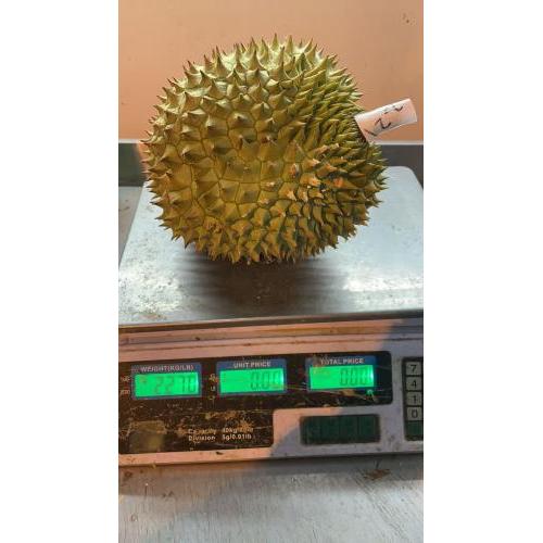 新鲜 榴莲 1个 2.27KG £16.99/kg