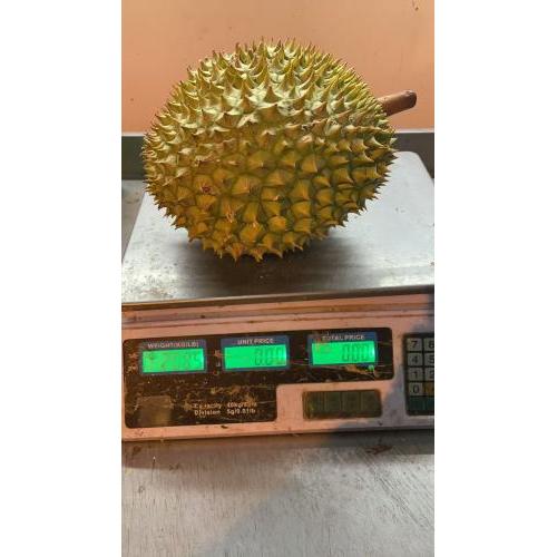 新鲜 榴莲 1个 2.085KG £16.99/kg