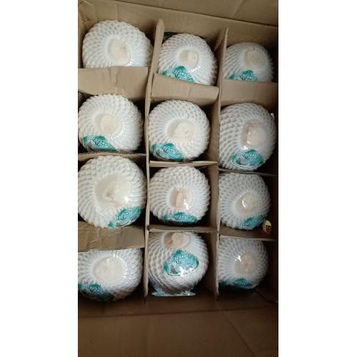 特惠 新鲜 椰青 1箱12个  (没有吸管）