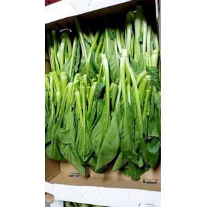 新鲜 本地农场菜心 400g