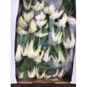 新鲜 本地靓白菜  400g