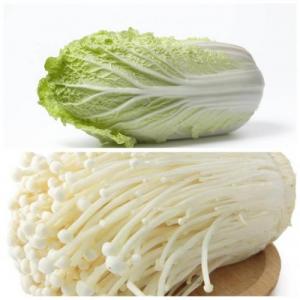 周末赠品 （购满£40.00，赠送一份）金针菇200g+大白菜1棵 (只限 04/10/2025或 05/10/2025 配送的订单）