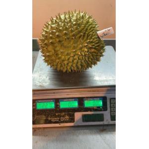 新鲜 榴莲 1个 2.27KG £16.99/kg