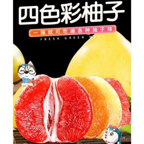 礼盒四色柚 1箱4个