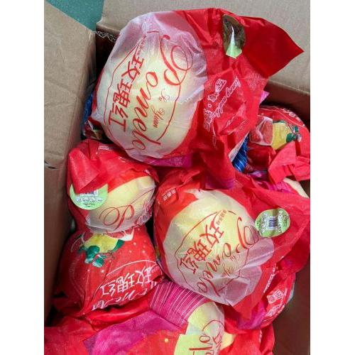 新鲜 大个红肉柚子 1个