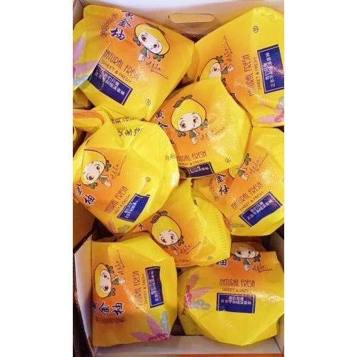 新鲜 大个黄金蜜柚 1个 黄肉