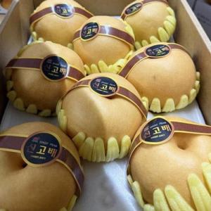 新鲜 大个韩国梨 1箱约7个