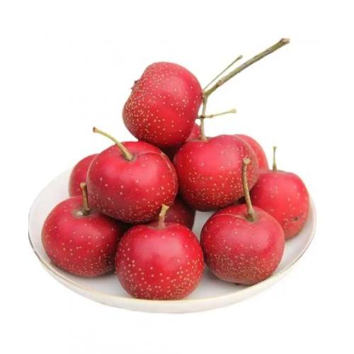 新鲜山楂 约500g