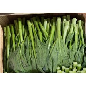新鲜 广东菜心/短菜心 约500g