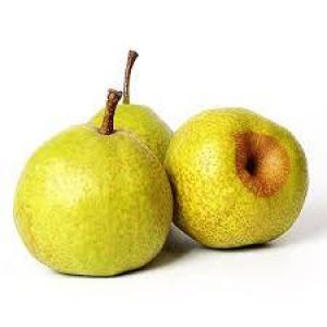 新鲜 莱阳梨 1箱3.5kg 约9个