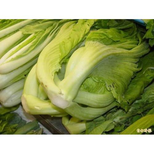 减价 新鲜大芥菜 1份约1kg