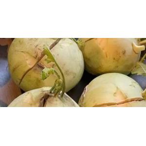 减价 菜果 1份约1kg 有裂开